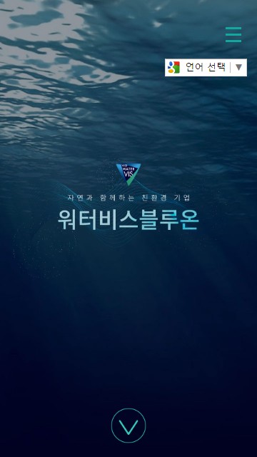 (주)워터비스블루온 홈페이지